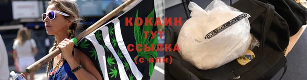 метадон Ельня