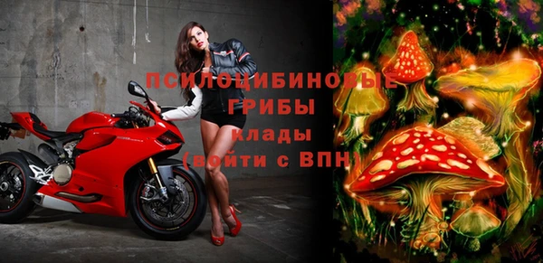 ALPHA-PVP Елабуга