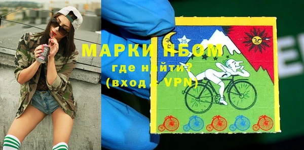 СК Елизово