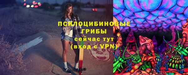 метадон Ельня